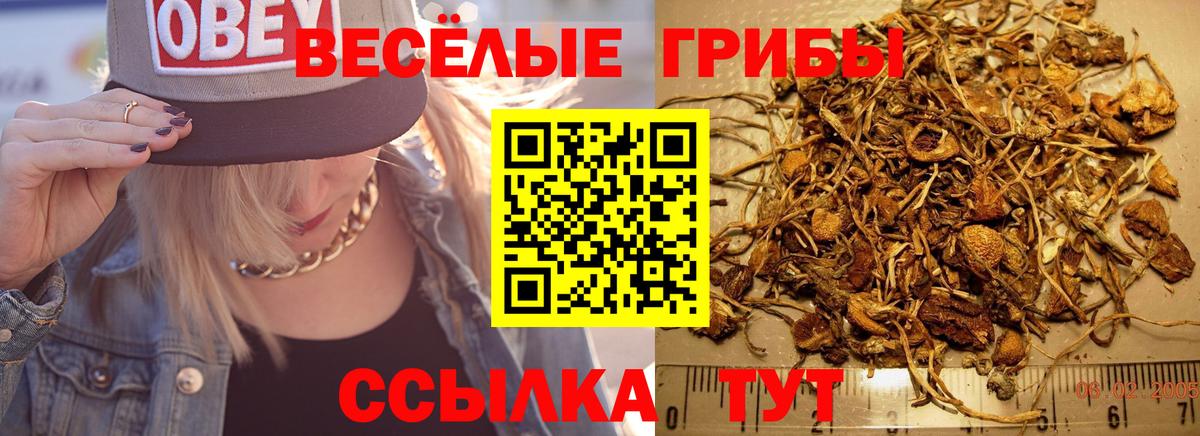 Псилоцибиновые грибы MAGIC MUSHROOMS  Галлюциногенные грибы мицелий  Вход с VPN  Новосибирск 