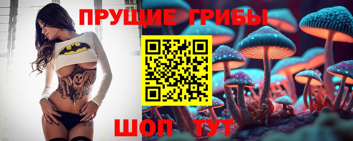Псилоцибиновые грибы мицелий Новосибирск